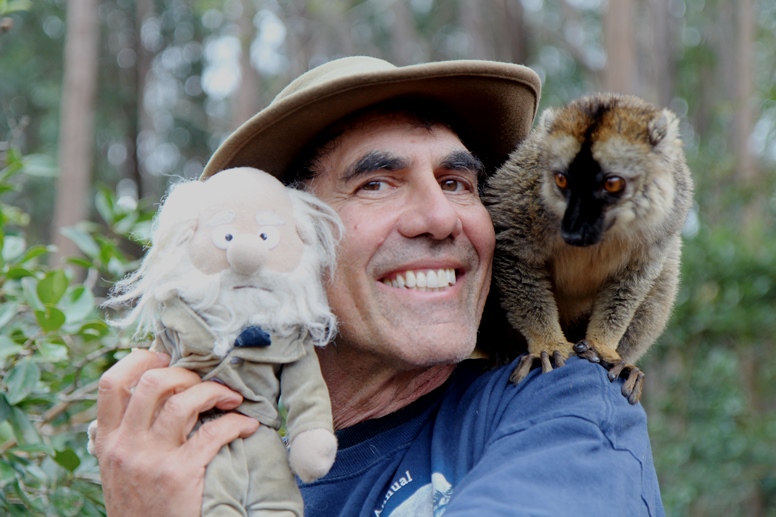 brown lemurs